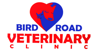Bird Road Veterinary Clinic